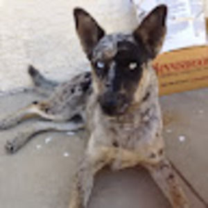 Meet your Posher, Gary